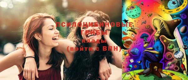 бошки Осинники