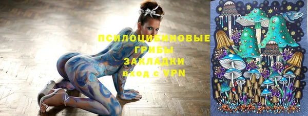бошки Осинники