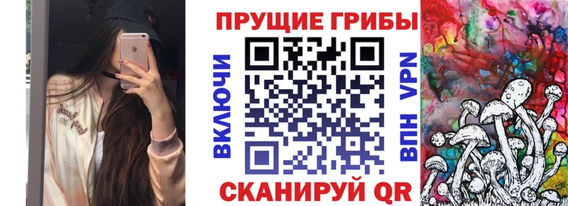 darknet Telegram Беломорск Псилоцибиновые грибы ЛСД